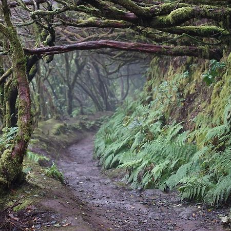 Casa Rural En El Parque Nacional De Garajonay En La Isla De La Gomera, Alonso Y Carmen Banda de Las Rosas Εξωτερικό φωτογραφία
